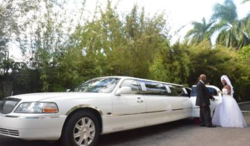 Jamaica Exquisite Transfers & Tours