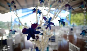 J&L Weddings Decor