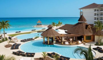 Secrets Wild Orchid