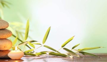 Botaniqa Spa