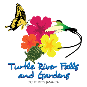 Turtle River Falls 